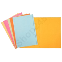 紙質文件夾(一級 F4/10個裝)
